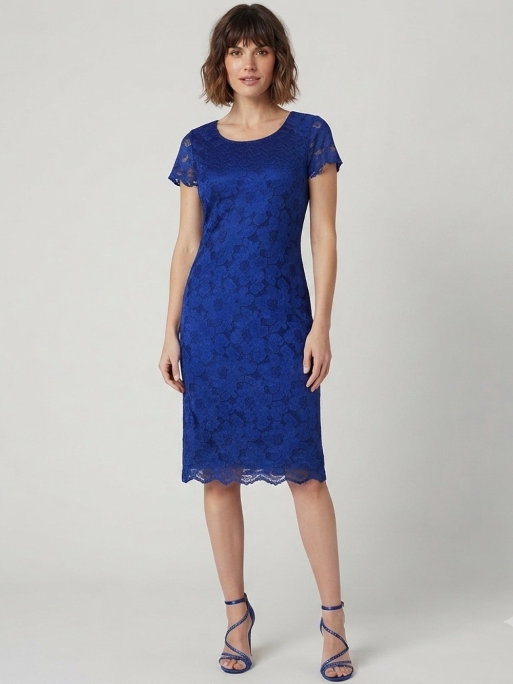 Perceptions New York Floral Lace Dress Size 6 Petite NWT